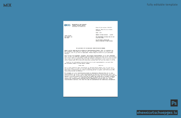 Beispiel für die Registrierung eines Unternehmens mit der Arbeitgeberidentifikationsnummer (EIN) beim US-amerikanischen Internal Revenue Service (IRS)